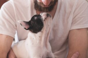 ペットの葬儀までに飼い主がすべきこと