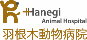 羽根木動物病院